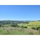 Properties for Sale_Il Casale Sotto Moresco in Le Marche_10